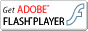 Adobe Flash Player_E[h